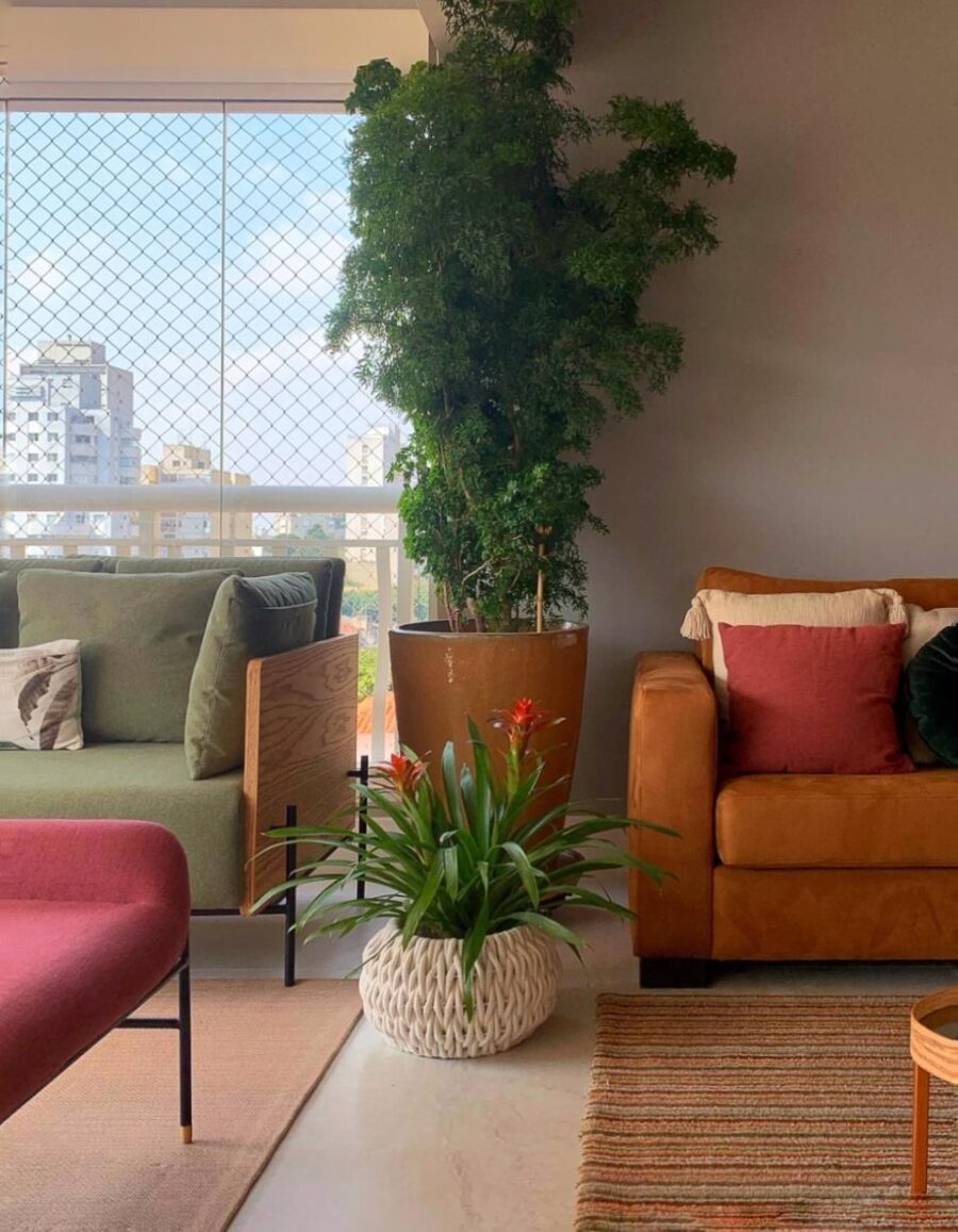 sala de estar com plantas em vasos, bromélia e árvore da felicidade